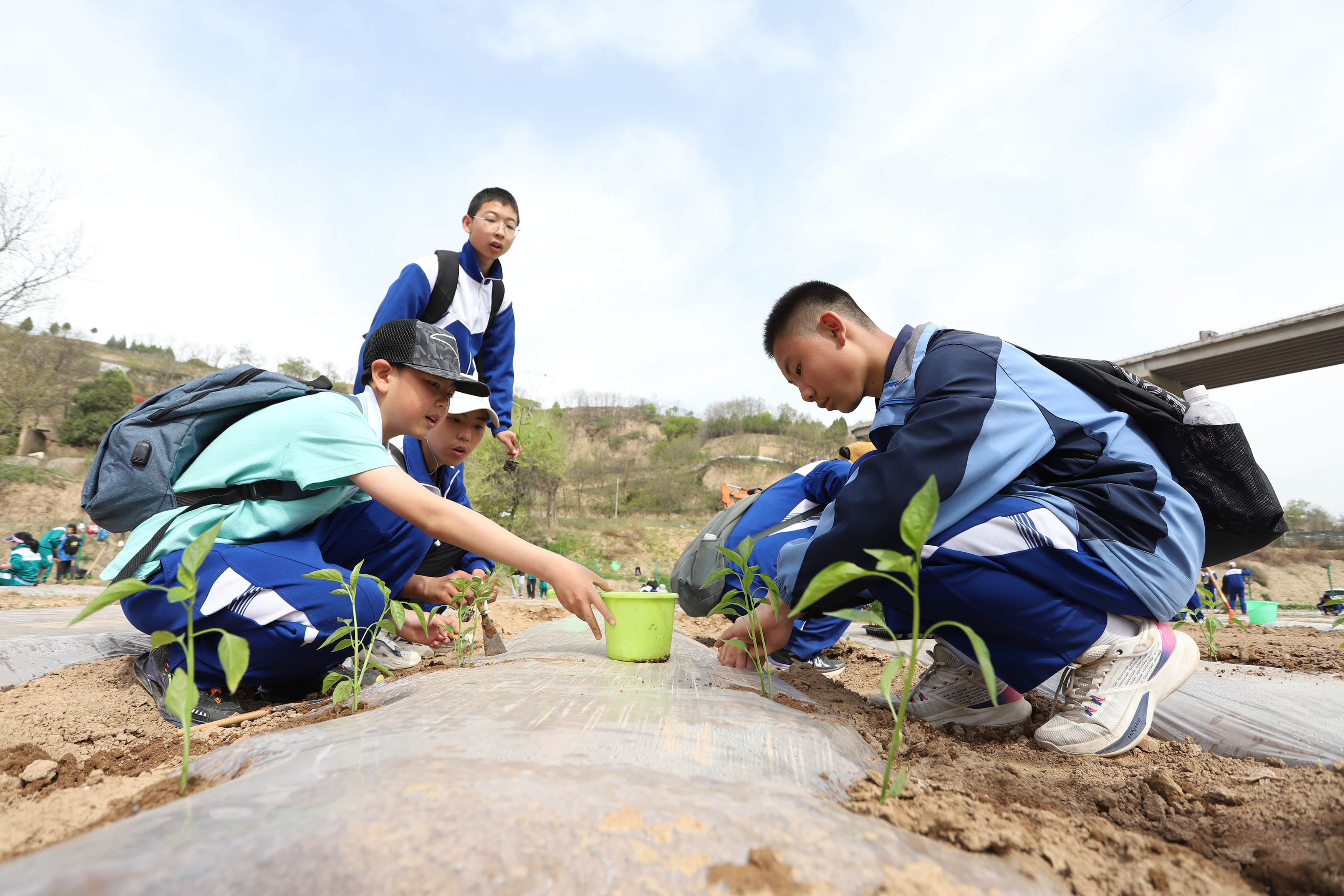 06——4月27日，在甘肅省平?jīng)鍪械谒闹袑W行知園學農(nóng)基地里，學生們在給剛剛種植的辣椒苗澆水。.JPG