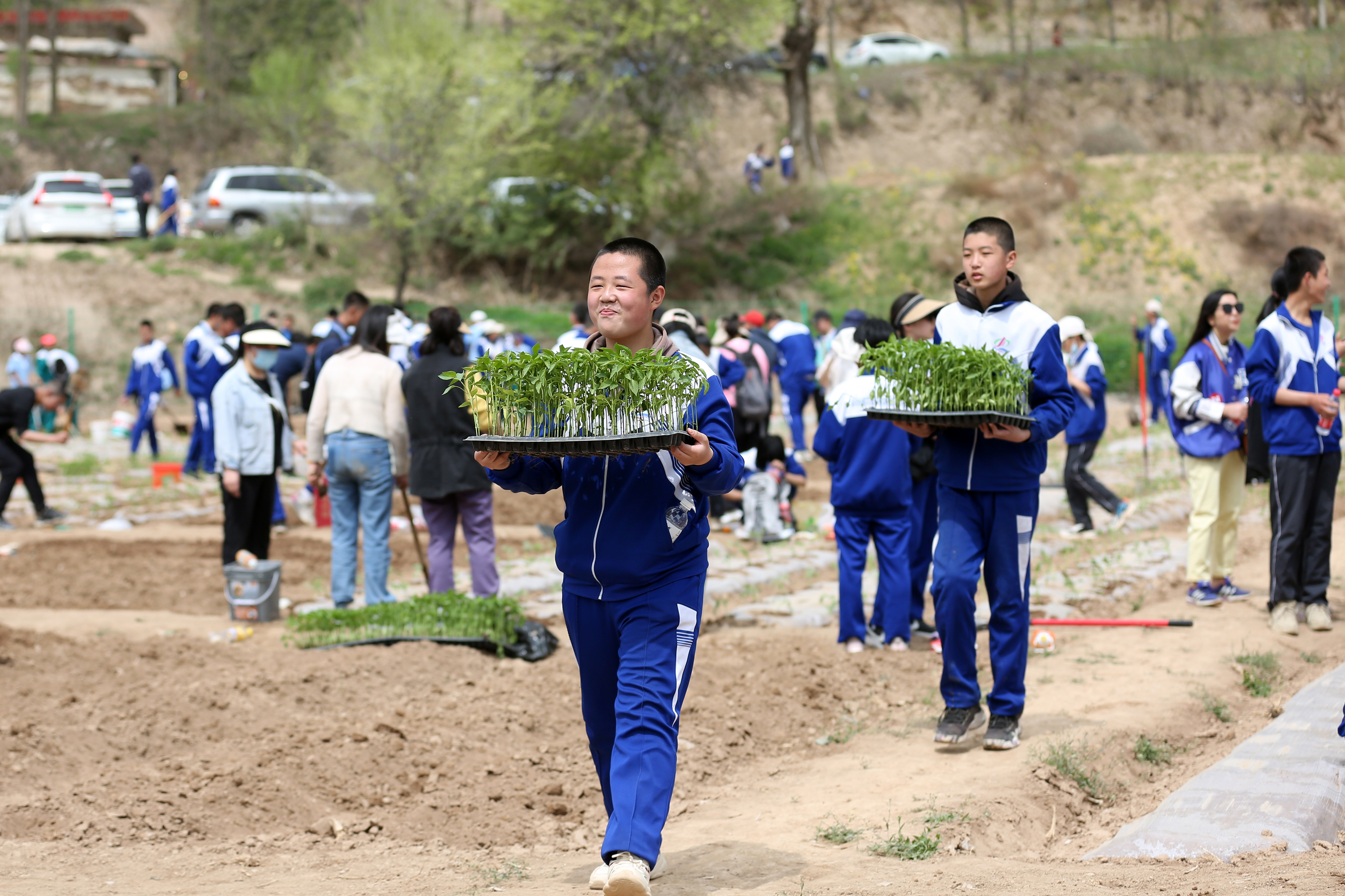 09——4月27日，在甘肅省平?jīng)鍪械谒闹袑W行知園學農(nóng)基地里，學生們在搬運辣椒苗。.JPG